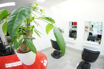 ビューティ増田 | 御前崎のヘアサロン