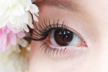 Rose 大名店 | 天神/大名のアイラッシュ Rose 大名店 | 天神/大名のアイラッシュ