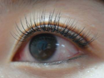 Rose 大名店 | 天神/大名のアイラッシュ Rose 大名店 | 天神/大名のアイラッシュ