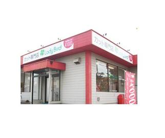 LadyBird 上柴店 | 深谷のヘアサロン LadyBird 上柴店 | 深谷のヘアサロン