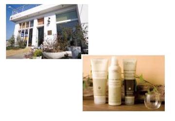 Belle femin* claire | 宮崎のヘアサロン