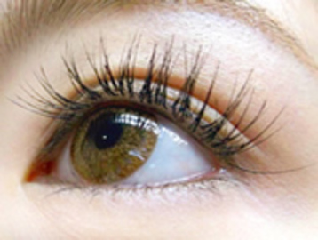 Ladia | 吉祥寺のアイラッシュ Ladia | 吉祥寺のアイラッシュ