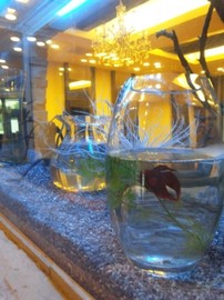 ANTEnNA HairResort 北浦和店 | 浦和のヘアサロン ANTEnNA HairResort 北浦和店 | 浦和のヘアサロン