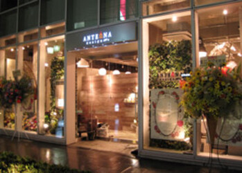 ANTEnNA design＋ 中目黒店 | 中目黒のヘアサロン