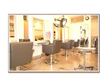 Stea virtus | 立川のヘアサロン Stea virtus | 立川のヘアサロン