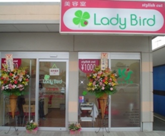 LadyBird 深谷国済寺店 | 深谷のヘアサロン