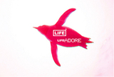 ＬＩＦＥ　ＡＤＯＲＥ | 御池/御所/二条城のヘアサロン