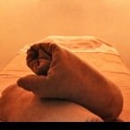 リンパエステルーム　Honeysuckle. | 新居浜のエステサロン