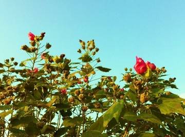 ふみこ美容室 | 八幡浜のヘアサロン