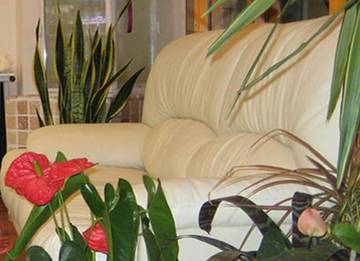 amply | 久留米のヘアサロン amply | 久留米のヘアサロン