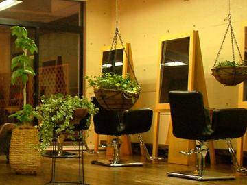 HOLY MOLY | 北九州のヘアサロン