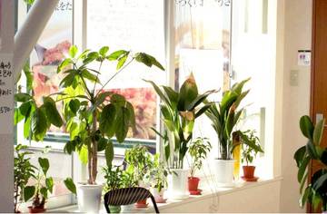 巻き爪矯正サロン | 北九州のリラクゼーション