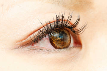 ALICE | 名駅のアイラッシュ ALICE | 名駅のアイラッシュ