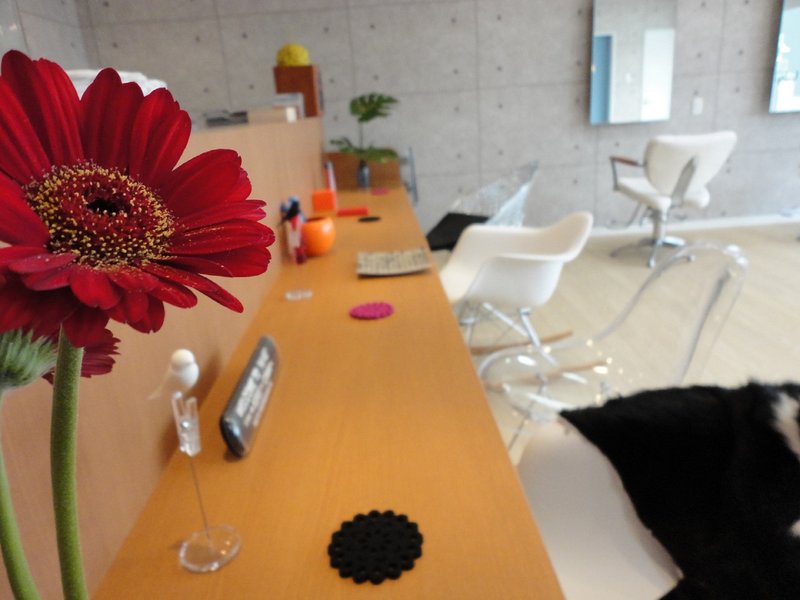 Hi-ve hairline | 北区/東区周辺のヘアサロン Hi-ve hairline | 北区/東区周辺のヘアサロン