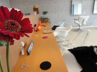 Hi-ve hairline | 北区/東区周辺のヘアサロン