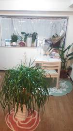 POLA　博多駅筑紫口店　Nagomi - 和 - | 博多のエステサロン