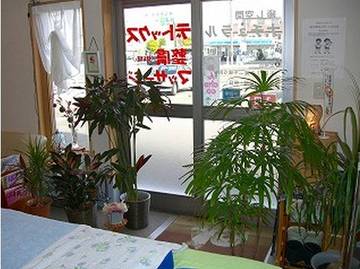 癒し空間ナチュラル | 能代のリラクゼーション