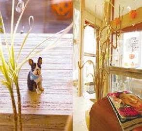 Clip | 苫小牧のヘアサロン Clip | 苫小牧のヘアサロン