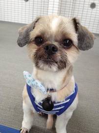 HAIR STUDIO LAST【ヘアースタジオ ラスト】 | 逗子のヘアサロン HAIR STUDIO LAST【ヘアースタジオ ラスト】 | 逗子のヘアサロン