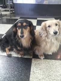 カット・ステューディオ創美 | 久留米のヘアサロン