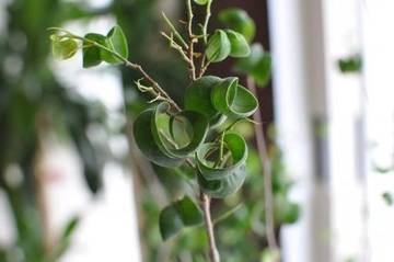 LOA HAIR | 本山/今池のヘアサロン LOA HAIR | 本山/今池のヘアサロン