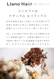 Llano Hair(ラノヘアー)03-6432-2626 | 用賀のヘアサロン Llano Hair(ラノヘアー)03-6432-2626 | 用賀のヘアサロン