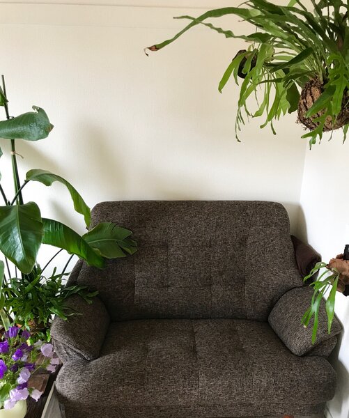 Oneness | 川口のリラクゼーション