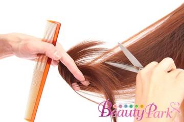 美容室コクリコ | 行橋のヘアサロン