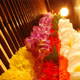 OHANA | 柏のヘアサロン