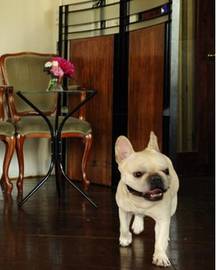 VATH | 目黒のヘアサロン