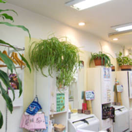 サロンド・エトワール | 上尾のヘアサロン