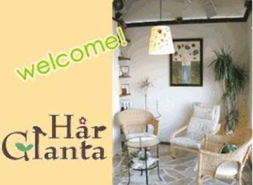 ほーる✿ぐれんた | 熊谷のヘアサロン ほーる✿ぐれんた | 熊谷のヘアサロン