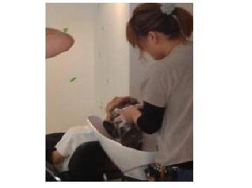 Noel-ノエル- | 四条烏丸/五条/西院のヘアサロン Noel-ノエル- | 四条烏丸/五条/西院のヘアサロン