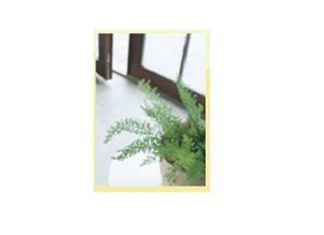 ASCOT | 久喜のヘアサロン ASCOT | 久喜のヘアサロン