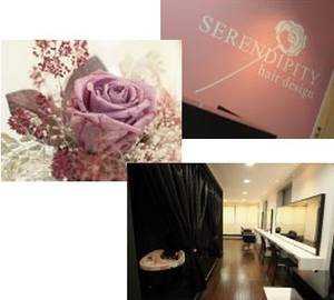 SERENDIPITY hair design | 元町のヘアサロン