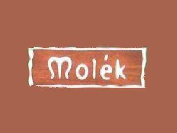 hairsalon molek | 平塚のヘアサロン