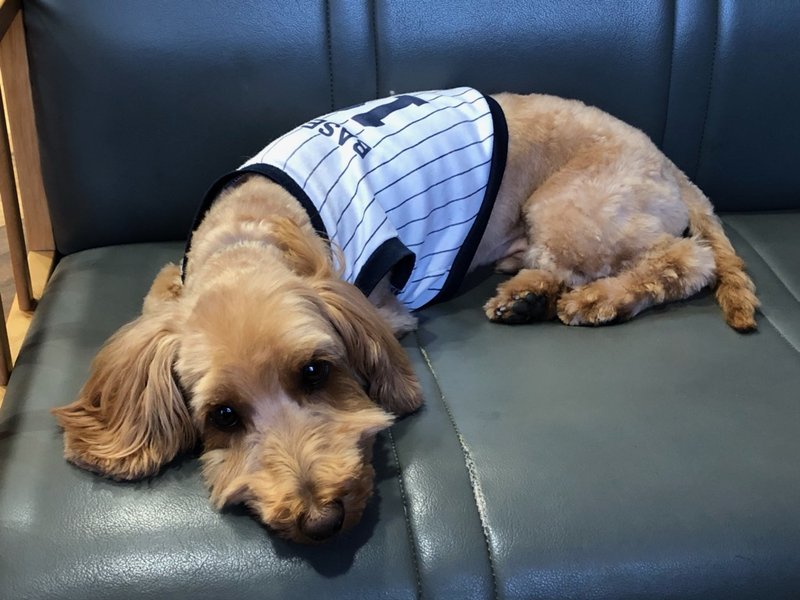 M's hair presents | 新潟のヘアサロン M's hair presents | 新潟のヘアサロン