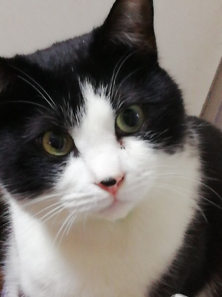 カットプラザジャム | 上尾のヘアサロン カットプラザジャム | 上尾のヘアサロン