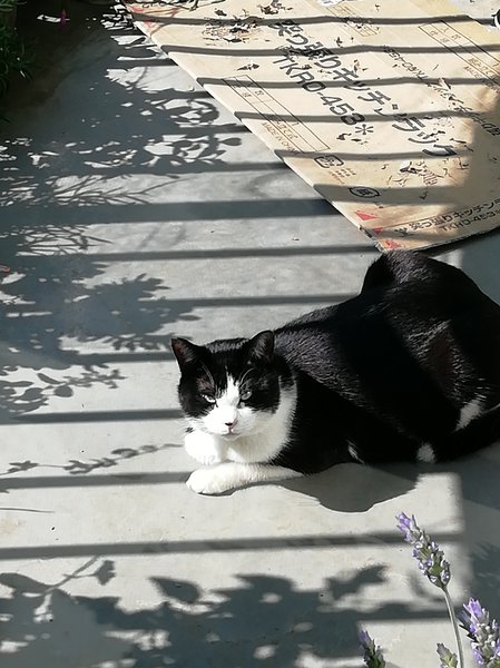 カットプラザジャム | 上尾のヘアサロン カットプラザジャム | 上尾のヘアサロン