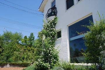 nico tukinowa | 東松山のヘアサロン