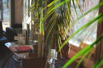 nico tukinowa | 東松山のヘアサロン