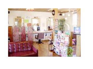 hair make shanty | 新発田のヘアサロン hair make shanty | 新発田のヘアサロン