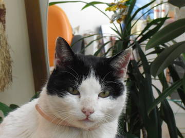 エナビューティーサロン | 和歌山のヘアサロン