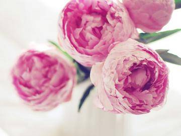 sipini Nail&Eyelash | 小田原のネイルサロン sipini Nail&Eyelash | 小田原のネイルサロン