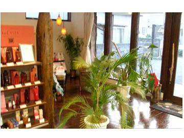 Azur | 新潟のヘアサロン Azur | 新潟のヘアサロン