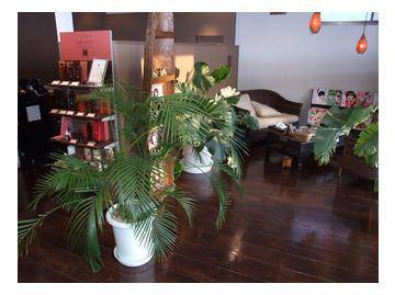 Azur | 新潟のヘアサロン Azur | 新潟のヘアサロン