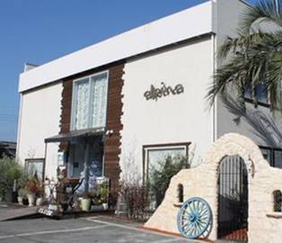 alpina hair planner 小塙店 | 高崎のヘアサロン