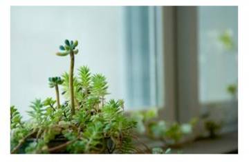 hyper hyper natural | 和歌山のヘアサロン