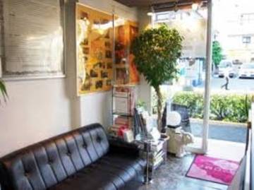 おしゃれ泥棒ルパン | 中野のヘアサロン