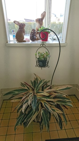 ビューティーアートいしかわ | 潟上のヘアサロン